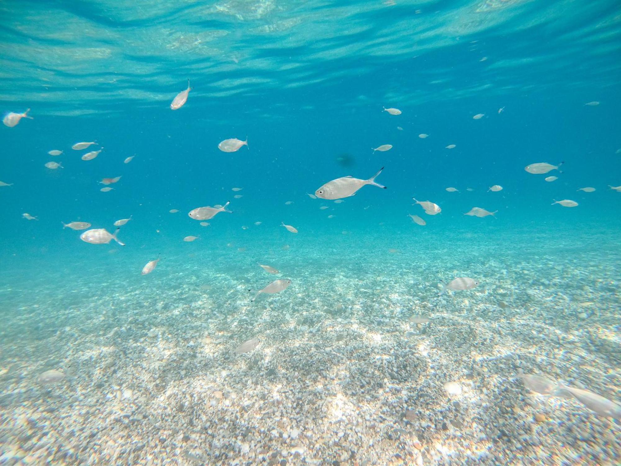 Complejo Turistico Los Bayiyos Agua Amarga  Eksteriør bilde