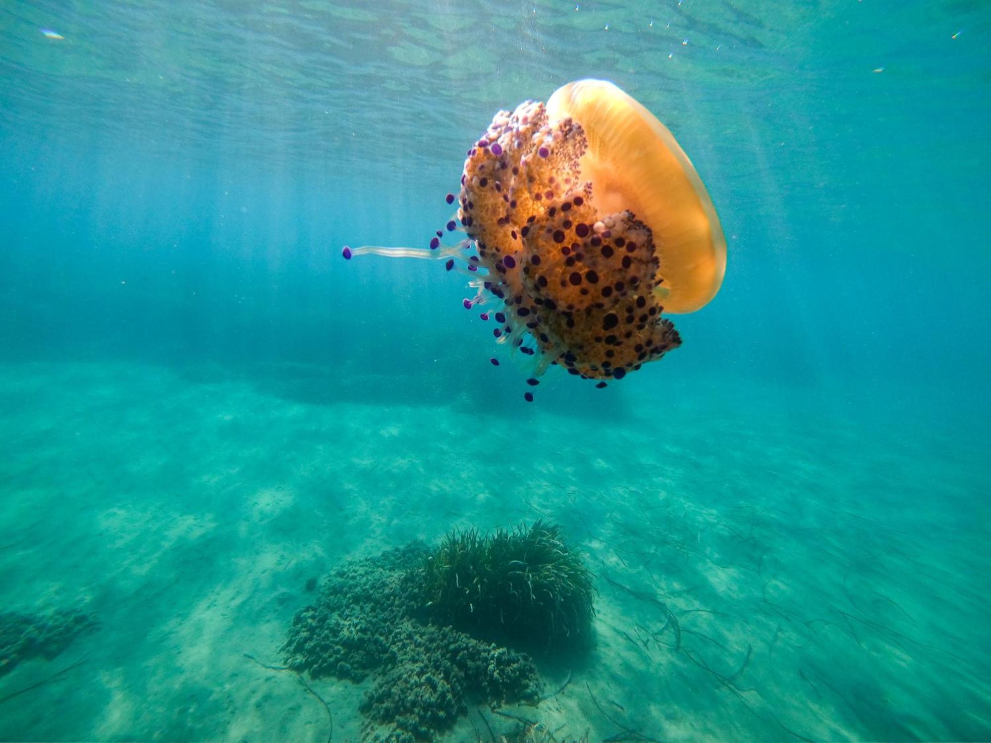 Complejo Turistico Los Bayiyos Agua Amarga  Eksteriør bilde